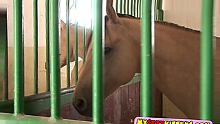 horse and girl sexy hd open video