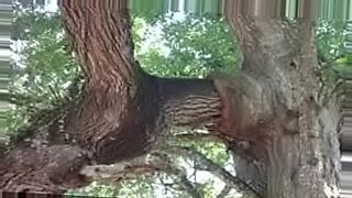 shyamnagar-viral-mms-video-link-শ্যামনগর-ভাইরাল-ভিডি